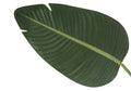 Artificial Plant, 60