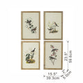 S 4 Bird Framed Print, 15.5X23.5