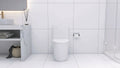 Elongated One Piece Toilet White White Bathroom Modern Porcelain