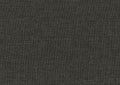 Gray Fabric Upholstered 1Pc Day Bed With Pull Out Trundle Trim Wood Frame Furniture Box Spring Not Required Gray Bedroom Wood