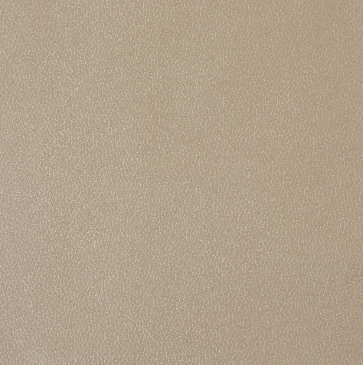 Top Grain Italian Leather Chair Beige Foam Leather