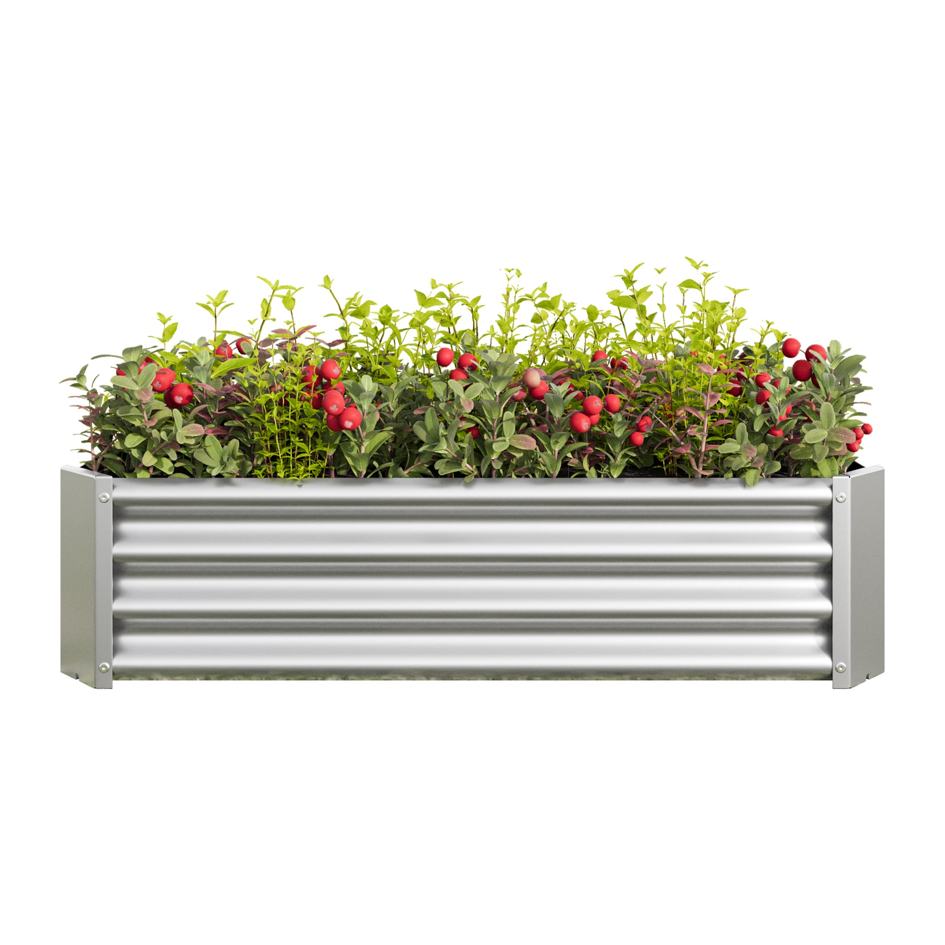 Metal Raised Garden Bed, Rectangle Raised Planter 4 2 1Ft For Flowers Plants, Vegetables Herb Silver Silver Bedroom Metal