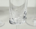 Oval Halo Plastic Champagne Flutes Set Of 4 4Oz , Unbreakable Mimosa Glasses Plastic Champagne Glasses, Tritan Wedding Champagne Flutes Clear Glass