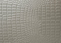 1Pc Modern Glam Style Champagne Finish Two Drawer Nightstand Embossed Crocodile Pattern Champagne Solid Wood