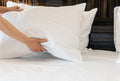 Luxuriously Soft 100% Viscose Derived From Bamboo 4 Piece Sheet Setoeko Tex Certified, Queen White White Bamboo