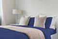 Luxurious Viscose From 100% Bamboo 2 Piece Pillowcase Setoeko Tex Certified, Queen Indigo Dark Blue Bamboo