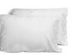 Premium 4 Piece Tencel Lyocell Sheet Set, Silky Soft 100% Tencel, Oeko Tex Certified, Queen Soft White White Eucalyptus