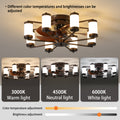Ceiling Fan 21.7