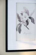 Set Of 4 Botanical Wall Art Prints, Home Decor For Living Room, Dining Room, Bedroom, Hallway, 20