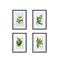 Set Of 4 Botanical Flower Wall Art, Home Decor For Living Room, Dining Room, Bedroom, Hallway, 20