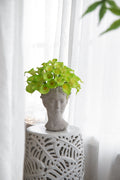 Greek Style Cement Head Planter Indoor Outdoor Home Garden Decor, D7