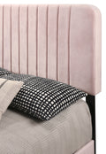 Lodi G0406 Fb Up Full Bedpink Pink Foam Velvet