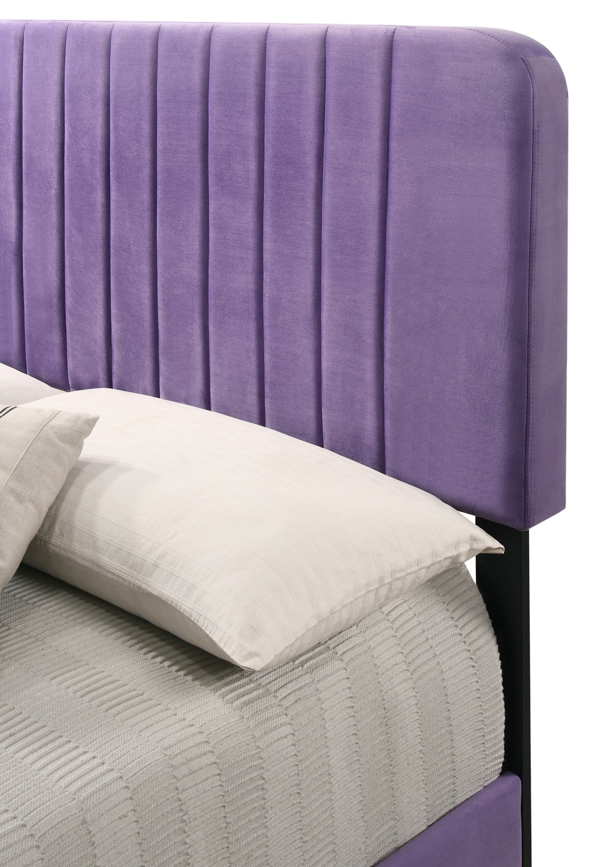 Lodi G0502 Fb Up Full Bedpurple Purple Foam Velvet