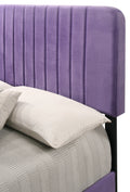 Lodi G0502 Qb Up Queen Bedpurple Purple Foam Velvet