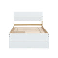 Modern Twin Bed Frame With 2 Drawers For White High Gloss Headboard And Footboard With Light Oak Color Box Spring Not Required Twin White Light Oak Bedroom Bed Frame Mdf,Rubber Wood