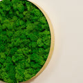 Round Framed Moss Wall Decor 3Pcs Green Iron
