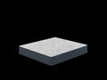 Restonic Comfortcare Dreamlux Plush, Twin Extra Long White Blue Steel Foam