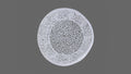 T3502 32 Round Coffee Table In White White Primary Living Space Contemporary,Modern Round Coffee & End Tables Aluminum Aluminium