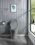 1.1 1.60 Gpf Dual Flush One Piece Toilet, Water Saving Elongated Comfort Height Floor Mounted, Soft Close 1000 Gram Map Flushing Score Toilet, Light Grey 23T01 Lg Light Grey Ceramic