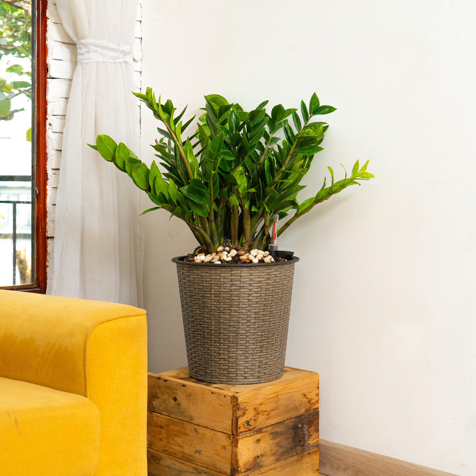 13 In.Gray Wicker Self Watering Planter Gray Plastic Rattan