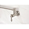 Wall Mount Folding Kitchen Pot Filler Faucet Brushed Nickel Brass
