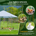 Large Metal Chicken Coop Hexagonal, Steel Wire Dipped Plastic Mesh, Oxford Cloth Silver Plated Waterproof And Uv Resistant, Ducks, Rabbits, Sheep And Birds Outdoor House. 13.1*8.6Ft Silver Metal