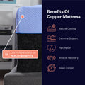 12 Inch Refresh Hybrid Cooling Fast Responding Latex Foam And Coil Adult Mattress, Cal King Size Blue Bedroom Foam Spring California King