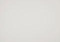 Farmhouse Style Queen Size Panel Bed 1Pc Classic White Finish Modern Bedroom Wooden Furniture Box Spring Required Queen White Wood Bedroom Farmhouse,Modern Panel Wood