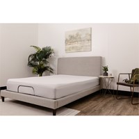 Quiet Comfort Mattress Protectoer Queen White Polyester