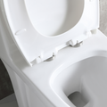 Toilet Floor Bolts And Caps Set Only, 23T03 Gwp03 White Acrylic