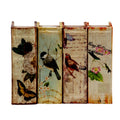 Set Of 4 Book Boxes With Birds, Flowers, And Handwriting Design, 5.5X4X2