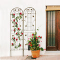 2 Pack Metal Garden Trellis 86.7