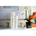 Set Of 2 Book Boxes, L:10.6X6.9X2.6