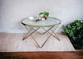 Valora Frosted Glass Top & Champagne Finish Coffee Table Champagne Glass Metal