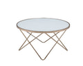 Valora Frosted Glass Top & Champagne Finish Coffee Table Champagne Glass Metal