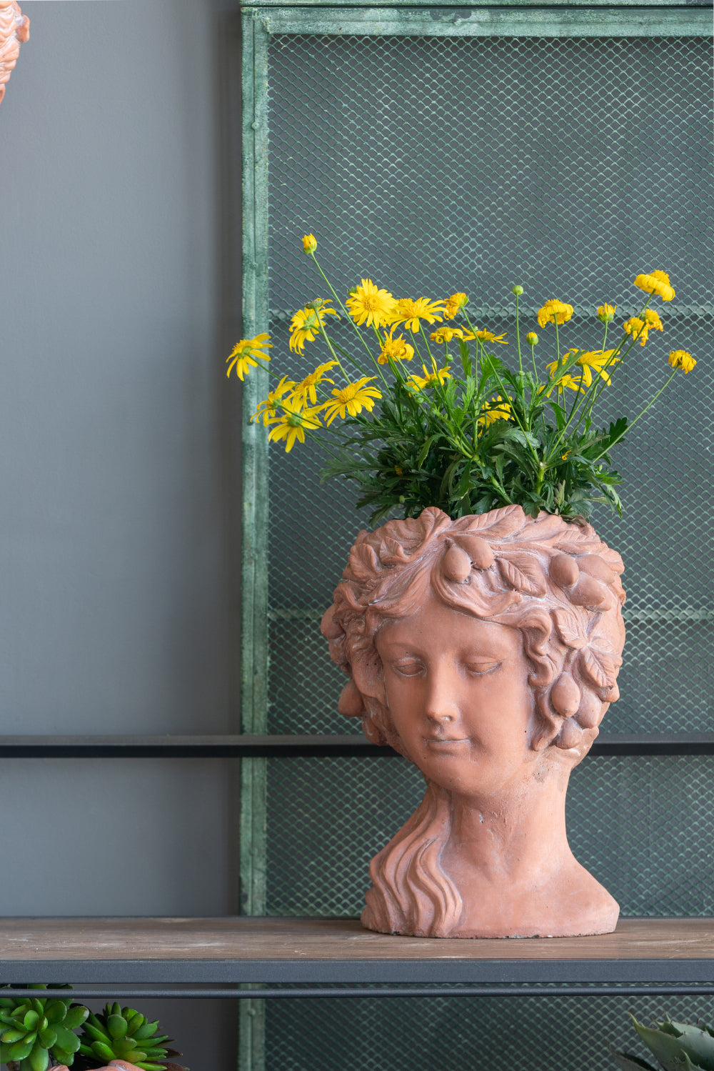 8X9X11.5" Brown Head Bust Planter, Greek Style Cement Head Planter Indoor Outdoor Home Garden Decor Brown Garden & Outdoor Cement