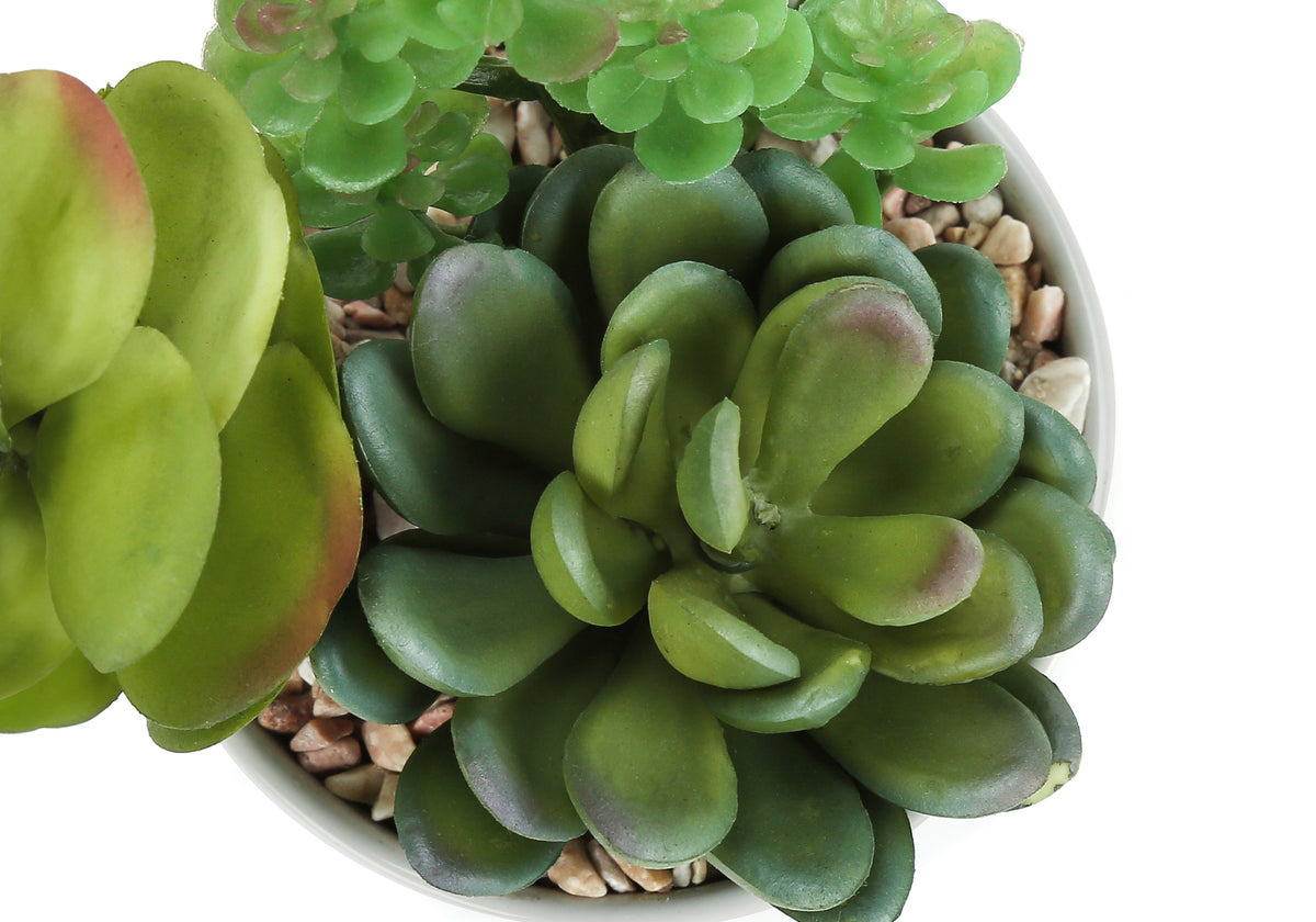 Artificial Plant, 7" Tall, Succulent, Indoor, Faux, Fake, Table, Greenery, Potted, Set Of 2, Decorative, Green Plants, White Ceramic Pots Green Foam Plastic
