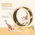 Pawhut Cat Wheel For Indoor Cats, 36