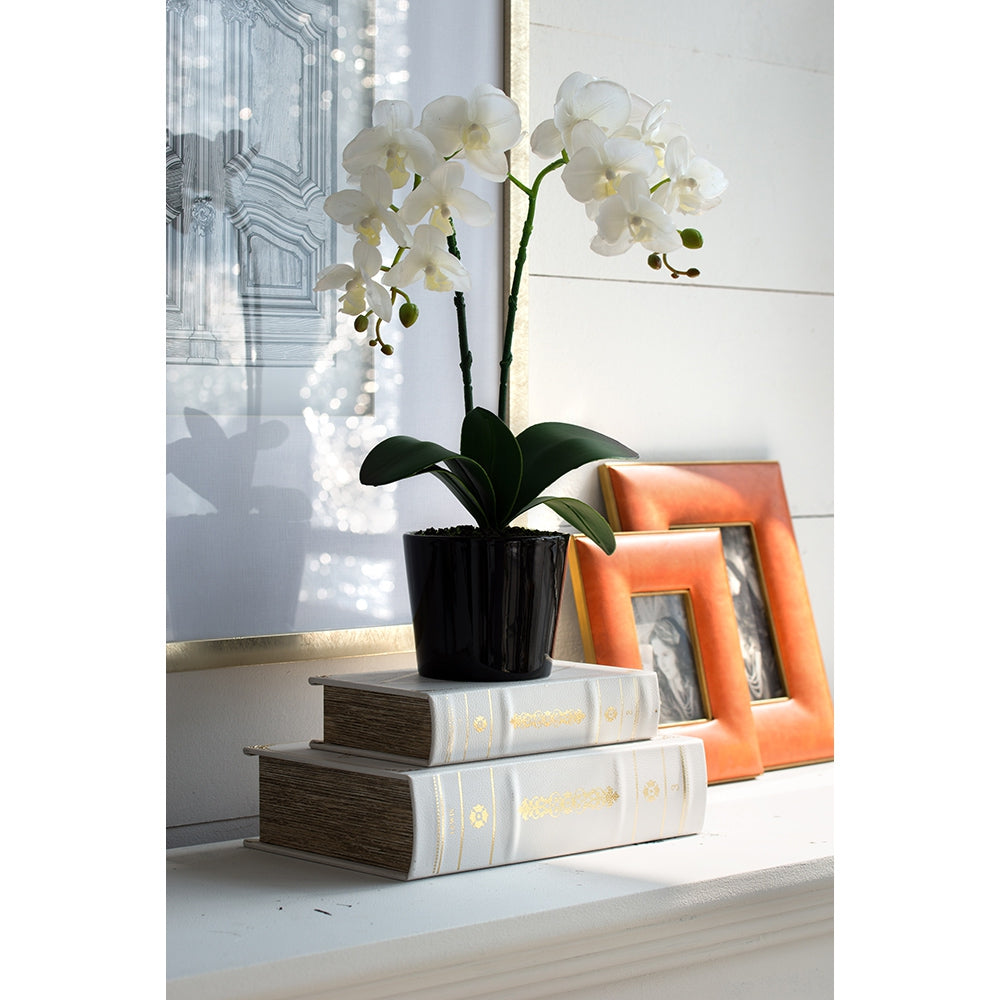 Set Of 2 Book Boxes, L:10.6X6.9X2.6", S:8X5X2" White Gold Mdf