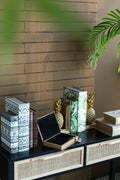 Set Of 2 Botanical Green And White Book Boxes, L:11X7X3