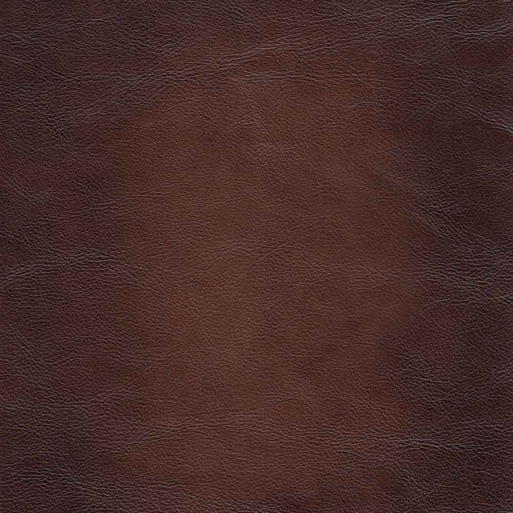 Newport Leather Chair Caramel Primary Living Space Mid Century Modern Eucalyptus Down Filling Leather