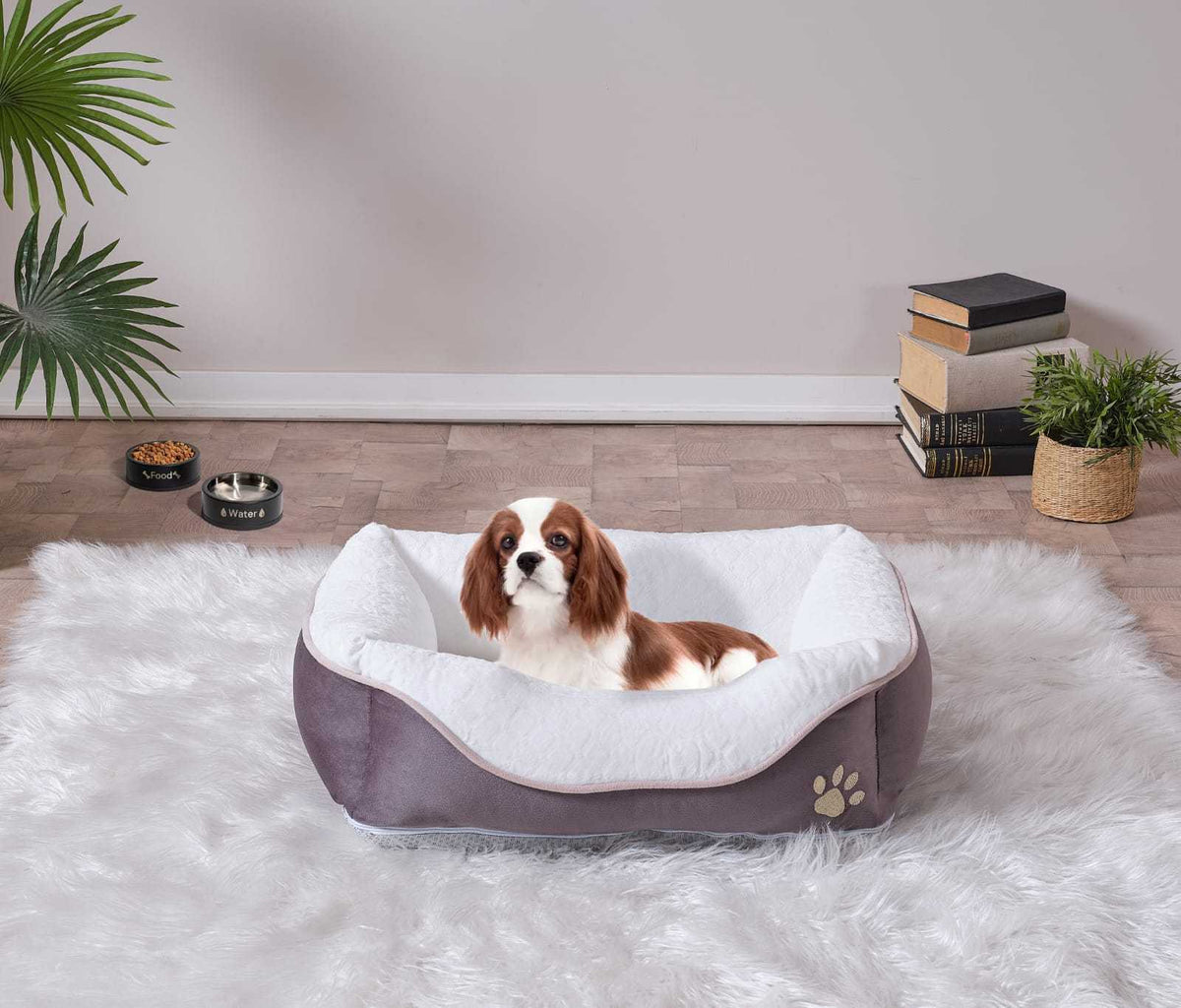 Lina Pet Bed, Anthracite Pet Bedx Large Size 31'' X 41'' Anthracite Contemporary Cat Extra Large 71 90 Lbs Foam