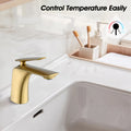 Single Hole Bathroom Sink Faucet With Pop Up Drain And Water Supply Hose, Single Handle Bathroom Faucet One Brushed Gold Bathroom 1 Hole Faucets Brass