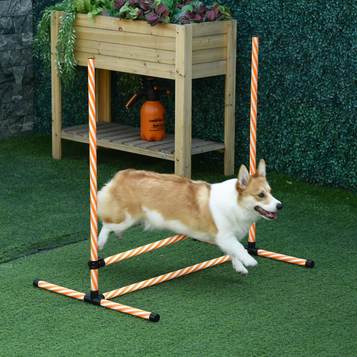 Pawhut 6 Piece Dog Agility Training Equipment With Hurdle Bag And Whistle, Orange And White Orange Plastic