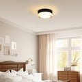 Small Size Flush Mount Ceiling Light 24W Glass Lampshade 2700K Ceiling Light Fixture For Bedroom Kids Room Black Glass,Metal