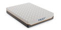 Mlily Fusion Supreme 11.5