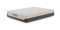 Mlily Fusion Supreme 11.5