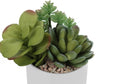 Artificial Plant, 7