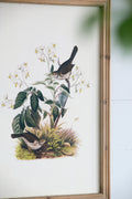 S 4 Bird Framed Print, 15.5X23.5