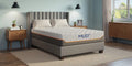 Mlily Fusion Supreme 11.5